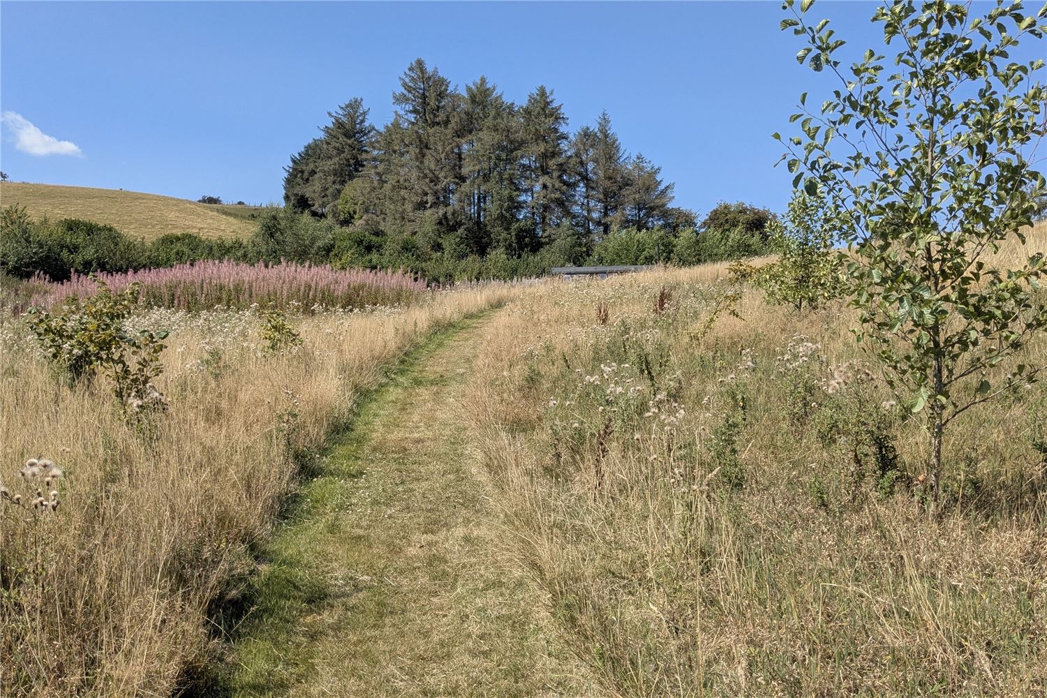 Seclusion in a Welsh valley. Hay Festival unique alternative accomodation