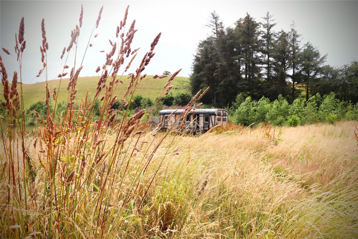 rewilding, seclusion, adults, accomodation. Unique tiny home