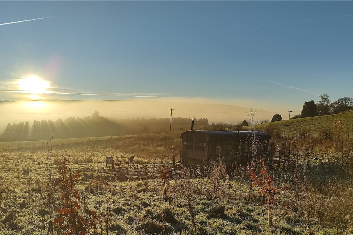 secluded, space, breathe, rewilding